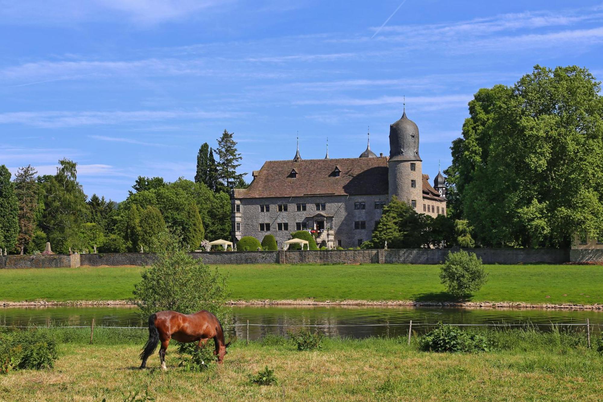 Ferienwohnungen Am Weserstrand ボーデンヴェルダー エクステリア 写真